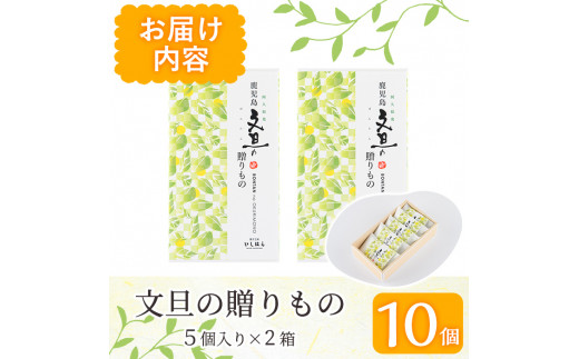 鹿児島文旦の贈りもの(計10個・5個入り×2箱) 国産 文旦 ボンタン ぼん