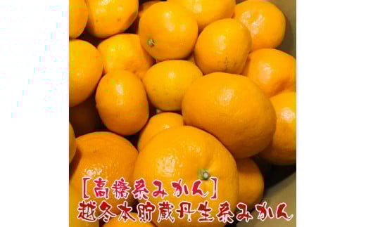 越冬本貯蔵 丹生系 みかん 5kg【先行予約】【高糖系みかん】