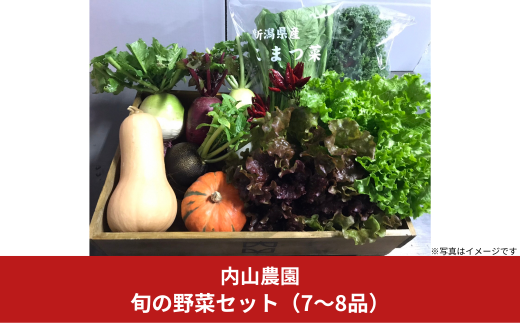 旬の野菜セット(7～8品) 季節の野菜 詰合せ [内山農園] 【011S166】 1179052 - 新潟県三条市