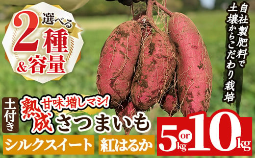 a845 [種類・内容量が選べる]鹿児島県産さつまいも土付き5〜10kg(シルクスイート・紅はるか)[コウエイ環境]姶良市 鹿児島県産 さつまいも サツマイモ 熟成芋 さつま芋 シルクスイート 紅はるか 5kg 10kg 生芋