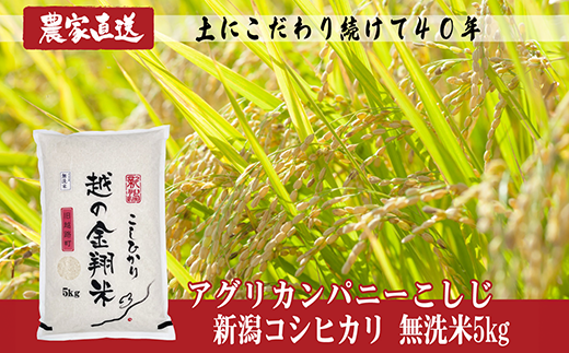 J8-5MN051【越の金翔米】新潟県長岡産コシヒカリ無洗米5kg（特別栽培米
