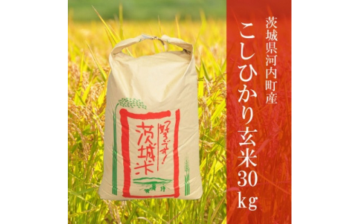 玄米　30㌔　こしひかり　令和元年産食品