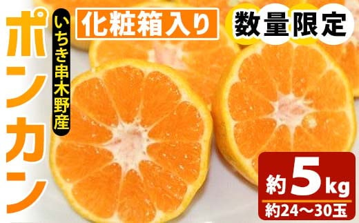 【先行予約・数量限定！】池之上果樹園の旬のポンカン化粧箱入り約5kg（約24～30玉）【A-974H】 538250 - 鹿児島県いちき串木野市