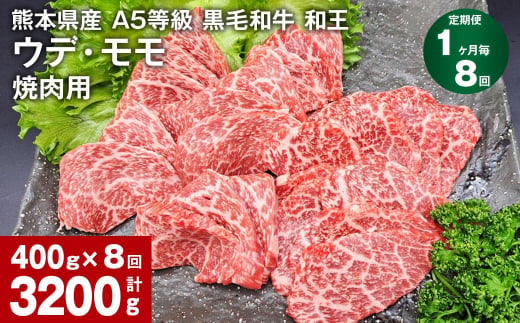 【1ヶ月毎8回定期便】熊本県産 A5等級 黒毛和牛 和王 ウデ・モモ 焼肉用 400g 計3200g 1179681 - 熊本県合志市