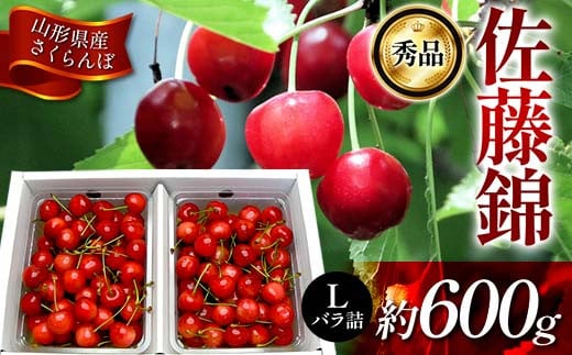 《先行受付2025年度6月発送》 山形県産 さくらんぼ 佐藤錦 秀品 Lサイズ 約600gバラ詰め FSY-1214 1193741 - 山形県山形県庁