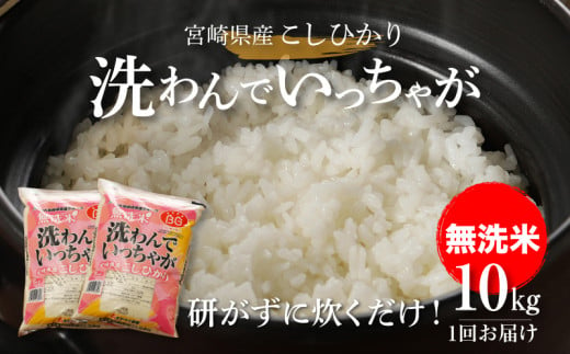 無洗米コシヒカリ 洗わんでいっちゃが10kg K23_0001_1