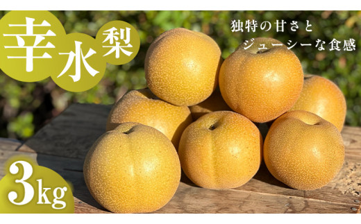 独特の甘さ ジューシーな食感 「 幸水 」 梨 3Kg 減農薬 果物 フルーツ なし ナシ [DC005ci]
