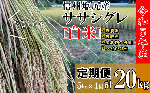 【令和5年産】定期便　信州塩尻産ササシグレ・白米20kg（5kg×4回）［5893025］