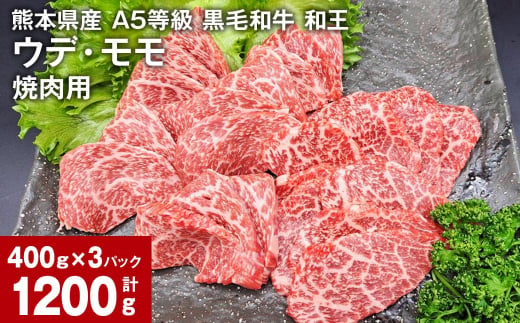 熊本県産 A5等級 黒毛和牛 和王 ウデ・モモ 焼肉用 400g×3パック 計1200g 1179677 - 熊本県合志市