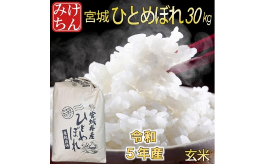 令和5年産　宮城県産ひとめぼれ 玄米30kg【1283891】