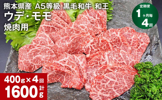 【1ヶ月毎4回定期便】熊本県産 A5等級 黒毛和牛 和王 ウデ・モモ 焼肉用 400g 計1600g