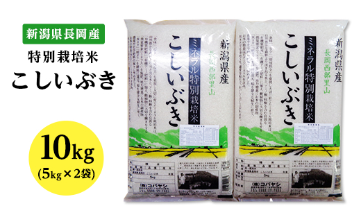 B7-43新潟県長岡産特別栽培米こしいぶき10kg（5kg×2袋） 259600 - 新潟県長岡市