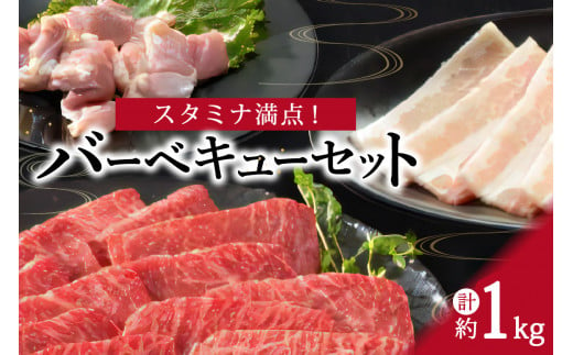 スタミナ満点！バーベキューセット 約1kg モモ 牛肉 豚肉 鶏肉 J339 242570 - 佐賀県伊万里市