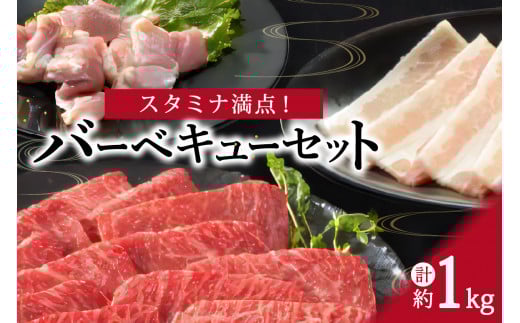 スタミナ満点!バーベキューセット 約1kg モモ 牛肉 豚肉 鶏肉 J339 242570 - 佐賀県伊万里市