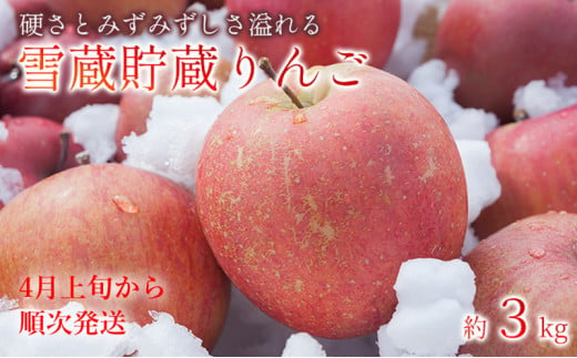 りんご】「サンふじ」3kg 秀品 （8～11玉）山形産 【2024年12月上旬頃