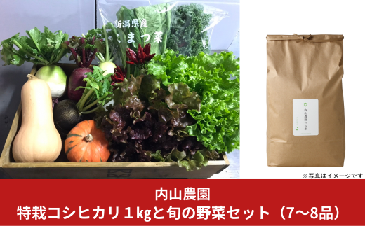 特栽コシヒカリ1kgと旬の野菜セット(7～8品)  季節の野菜 詰合せ [内山農園] 【015S111】 1179053 - 新潟県三条市