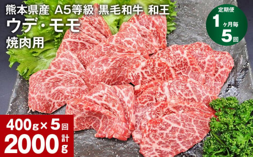 【1ヶ月毎5回定期便】熊本県産 A5等級 黒毛和牛 和王 ウデ・モモ 焼肉用 400g 計2000g 1179683 - 熊本県合志市