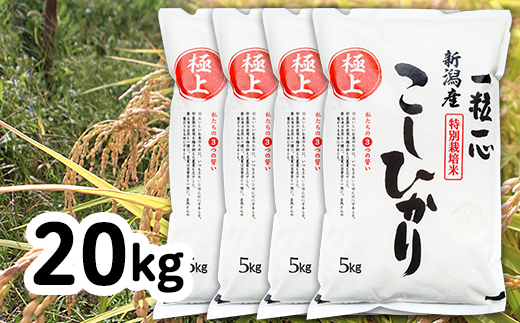 48-201新潟県長岡産特別栽培米コシヒカリ20kg