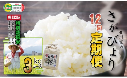 【定期便】(12ヶ月連続お届け)  佐賀県認定 特別栽培米 さがびより（3g x 12回）北川農産