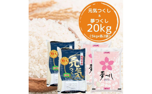 【令和5年産】福岡県産米食べ比べ＜白米＞セット「夢つくし」と「元気つくし」2種類 計20kg入り