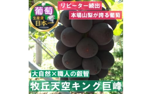 ＜2024年9月中旬発送＞「幻の牧丘天空キング巨峰」 約1kg(2～4房)【1473331】 1179612 - 山梨県山梨市