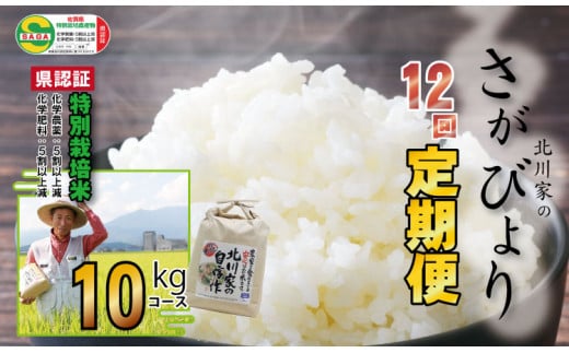 【定期便】(12ヶ月連続お届け) 佐賀県認定 特別栽培米 さがびより （10kg×12回）　北川農産 