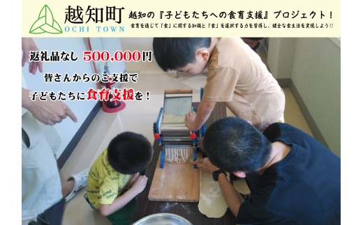 【返礼品なし】食育支援 500,000円 1181120 - 高知県越知町
