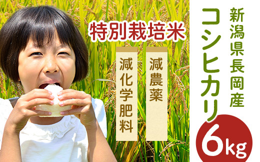 新潟県長岡産コシヒカリ（特別栽培米）6kg