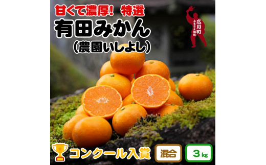 先行予約＞厳選せとか1kg+30g（傷み補償分）【柑橘・春みかんの王様
