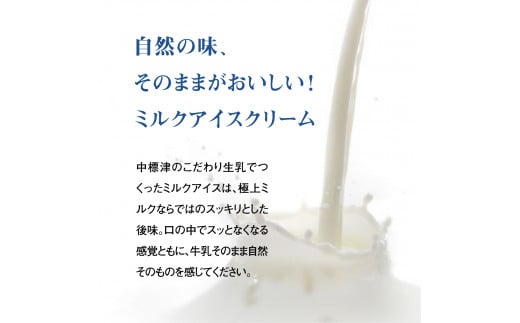 【無添加】 北海道 プレミアムミルクアイスクリーム×6個