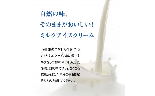 【定期便：全3回】 【無添加】北海道 プレミアムミルクアイスクリーム×12個