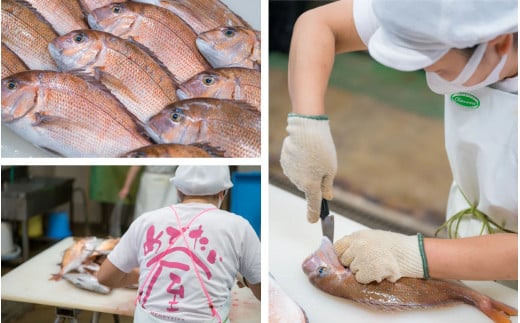地元の海で水揚げされた新鮮な養殖真鯛を使用
一匹一匹手作業で丁寧に加工しています！