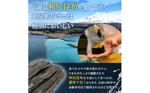 北海道利尻島産「朝どり」生うに塩水パック80g×2パック