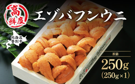 特選エゾバフンウニ折詰250g!!ウニ丼約3杯分 配送期間D:4月上旬〜5月下旬迄 | ふるさと納税 うに 高級 ウニ 雲丹 生ウニ エゾバフンウニ 折り詰め 北海道 登別 ふるさと 人気 送料無料