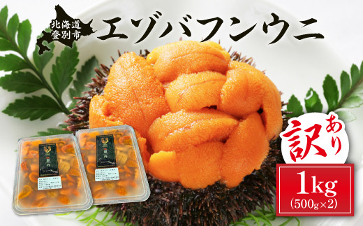 訳あり 規格外品 無添加 エゾバフンウニ 塩水パック 1kg　配送期間C：1月下旬～3月下旬迄 | うに 高級 ウニ 雲丹 生ウニ エゾバフンウニ 塩水パック 北海道 登別 人気 送料無料