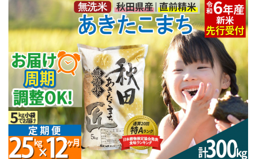 無洗米】＜令和6年産 新米予約＞《定期便5ヶ月》秋田県産 あきたこまち