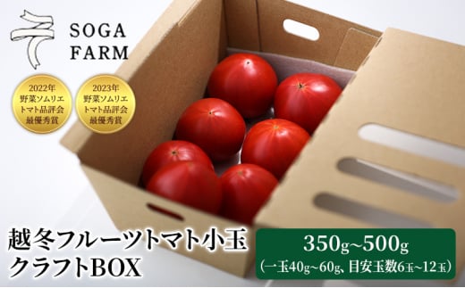 【2024年6月発送】SOGA FARM　越冬フルーツトマト小玉　クラフトBOX 2024年 先行予約 トマト 野菜 フルーツトマト 高糖度 とまと 新潟 1185679 - 新潟県新潟市