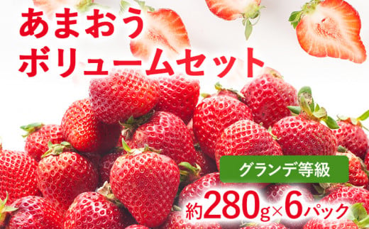 【2025年発送先行予約】あまおうボリュームセット(約280g x G6パック) お取り寄せグルメ お取り寄せ 福岡 お土産 九州 福岡土産 取り寄せ グルメ 福岡県 1226615 - 福岡県志免町