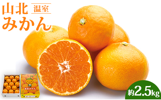 山北温室みかん2.5kg 果物 柑橘類 蜜柑 糖度高め フルーツ ku-0030 424306 - 高知県香南市
