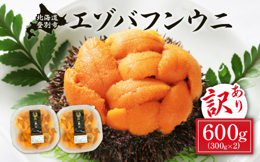 訳あり 規格外品 無添加 エゾバフンウニ 塩水パック 600g 配送期間C:1月下旬〜3月下旬迄 | うに 高級 ウニ 雲丹 生ウニ エゾバフンウニ 塩水パック 北海道 登別 人気 送料無料