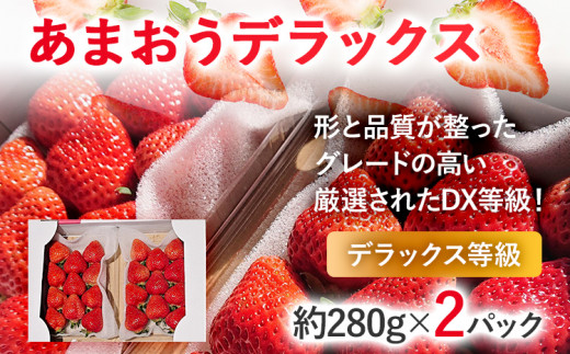 【2025年発送先行予約】あまおうデラックス（約280g x2パック） お取り寄せグルメ お取り寄せ 福岡 お土産 九州 福岡土産 取り寄せ グルメ 福岡県 1226475 - 福岡県志免町