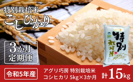 [定期便5kg×3ヶ月] 特別栽培米 コシヒカリ5kg 新潟県認証 新潟県三条市産 こしひかり 3か月連続でお届け