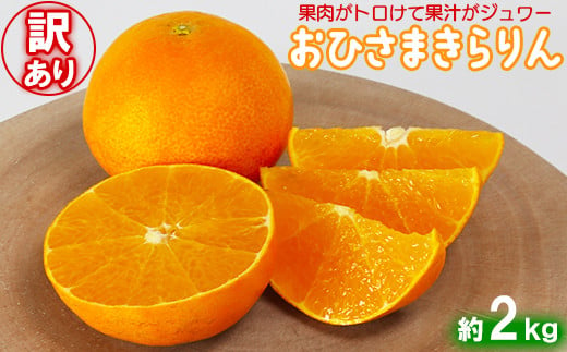 [訳あり・優品]今村農園の「おひさまきらりん 約2kg」 甘い オレンジ みかん 清美 12月発送 1月発送 先行予約 2kg わけあり 柑橘類 フルーツ [107-018_5]