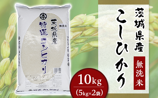 252茨城県産こしひかり【無洗米】10kg（小松崎商事）