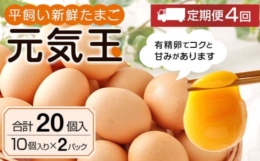 平飼い 新鮮 たまご 元気玉 卵 計80個 (10個×2パック)×4回 - 卵（鶏