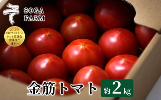 【2024年6月発送】SOGA FARM　金筋トマト 2024年 先行予約 トマト 野菜 とまと 新潟　 1185680 - 新潟県新潟市