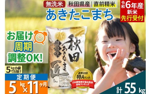 無洗米】＜令和6年産 新米予約＞《定期便11ヶ月》秋田県産