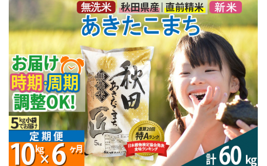 無洗米 《定期便6ヶ月》令和5年産 秋田県産 あきたこまち 10kg