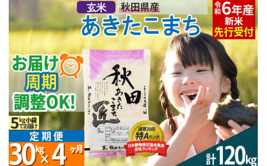 玄米】＜令和6年産 新米予約＞ 《定期便4ヶ月》秋田県産 あきたこまち 30kg (5kg×6袋)×4回 30キロ お米【2024年秋  収穫後に順次発送開始】 - 秋田県仙北市｜ふるさとチョイス - ふるさと納税サイト