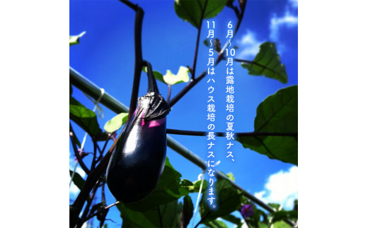アイテムID:374068の画像2枚目